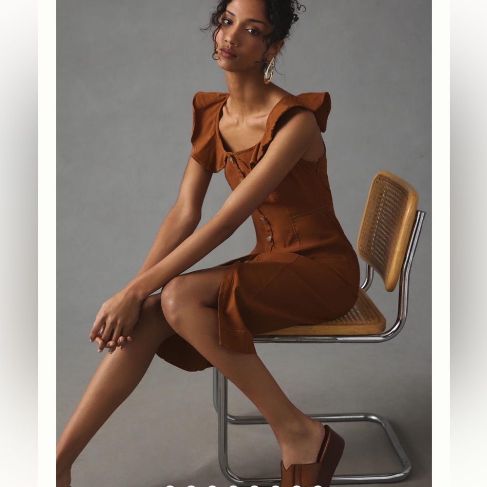 NWT Anthropologie Red Brown Button Down Dress